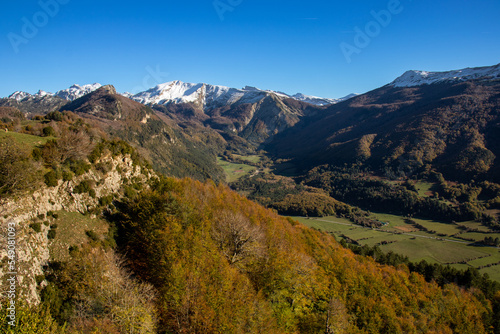 Irati forest in autumn, Salazar valley, Puerto de Larrau next to the French border, Navarra, Spain