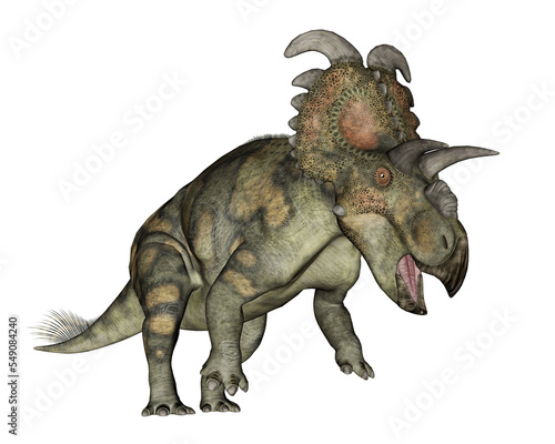 Albertaceratops dinosaur - 3D render