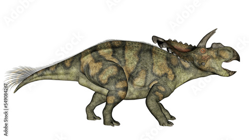 Albertaceratops dinosaur - 3D render © Elenarts