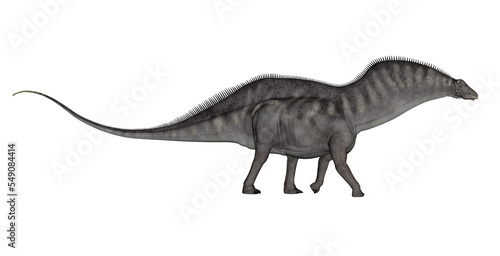Amargasaurus dinosaur - 3D render photo