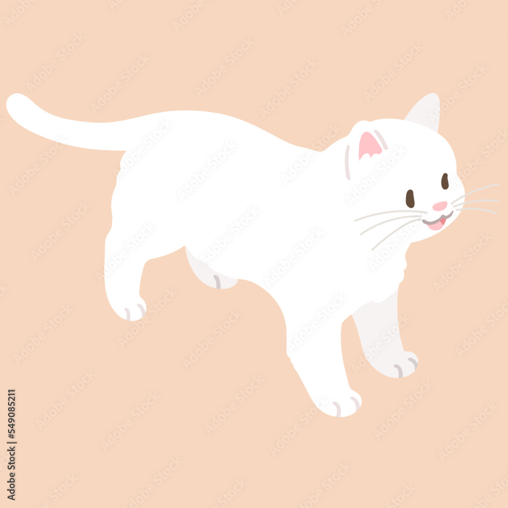 Simple and adorable illustration of white cat smiling top view flat colored Simple and adorable illustration of white cat smiling top view flat colored