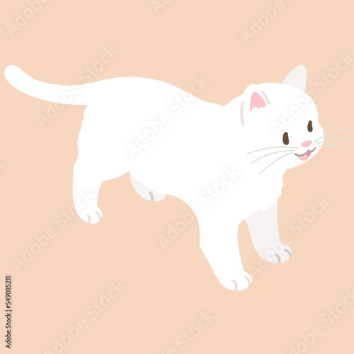 Simple and adorable illustration of white cat smiling top view flat colored