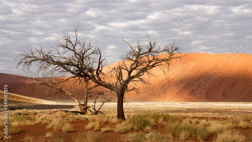 Wanderd  ne Namibia