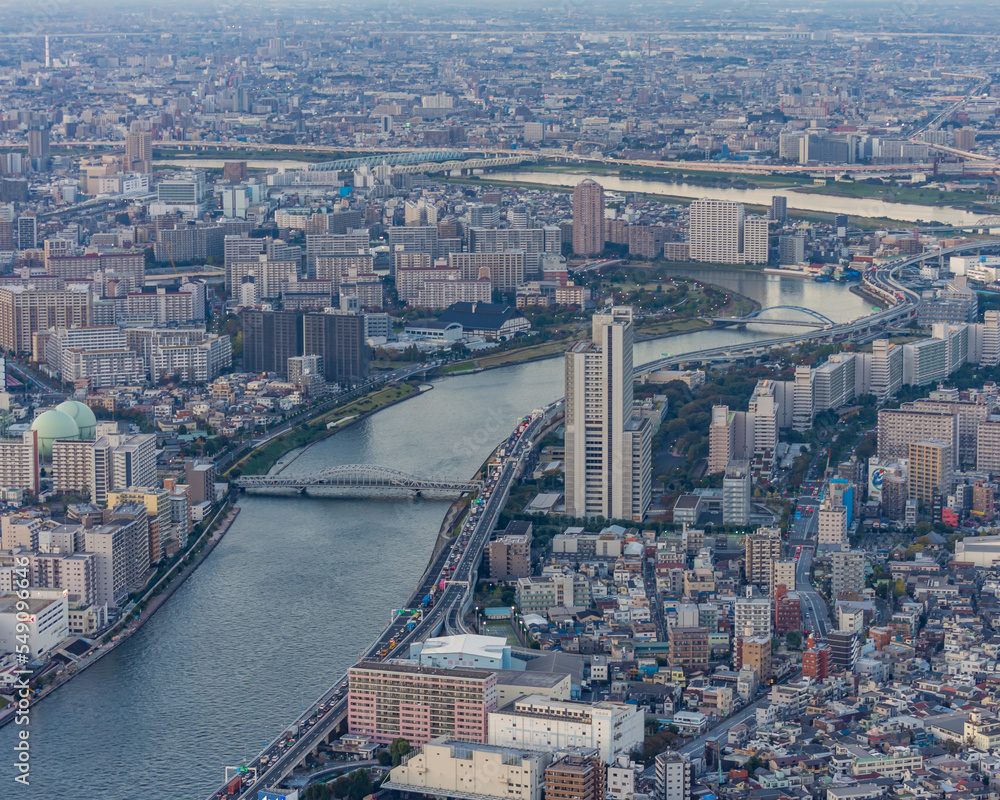 Fototapeta premium Tokyo from the skytree