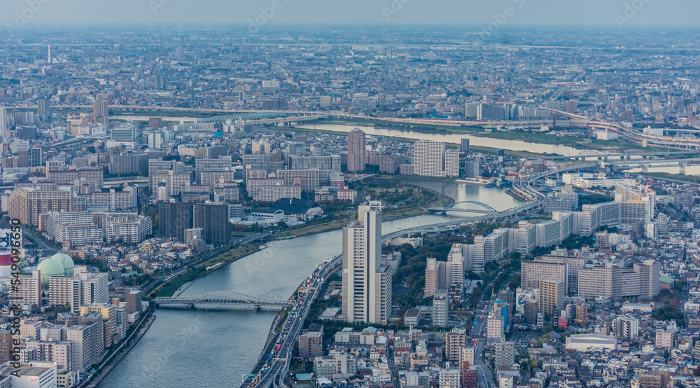 Fototapeta premium Tokyo from above