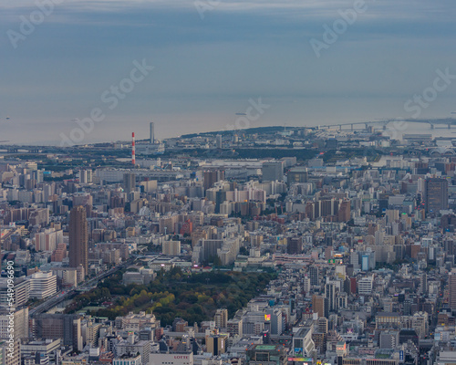 Tokyo © carvalhot