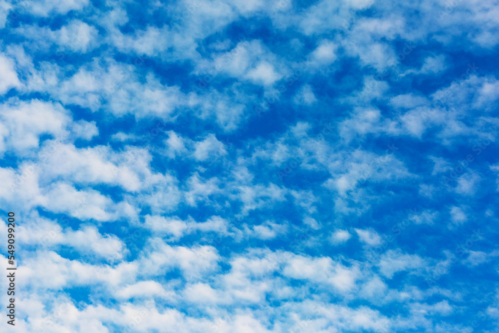 Fototapeta premium Small white clouds are evenly spaced against the background of the blue sky as a background, texture, pattern.