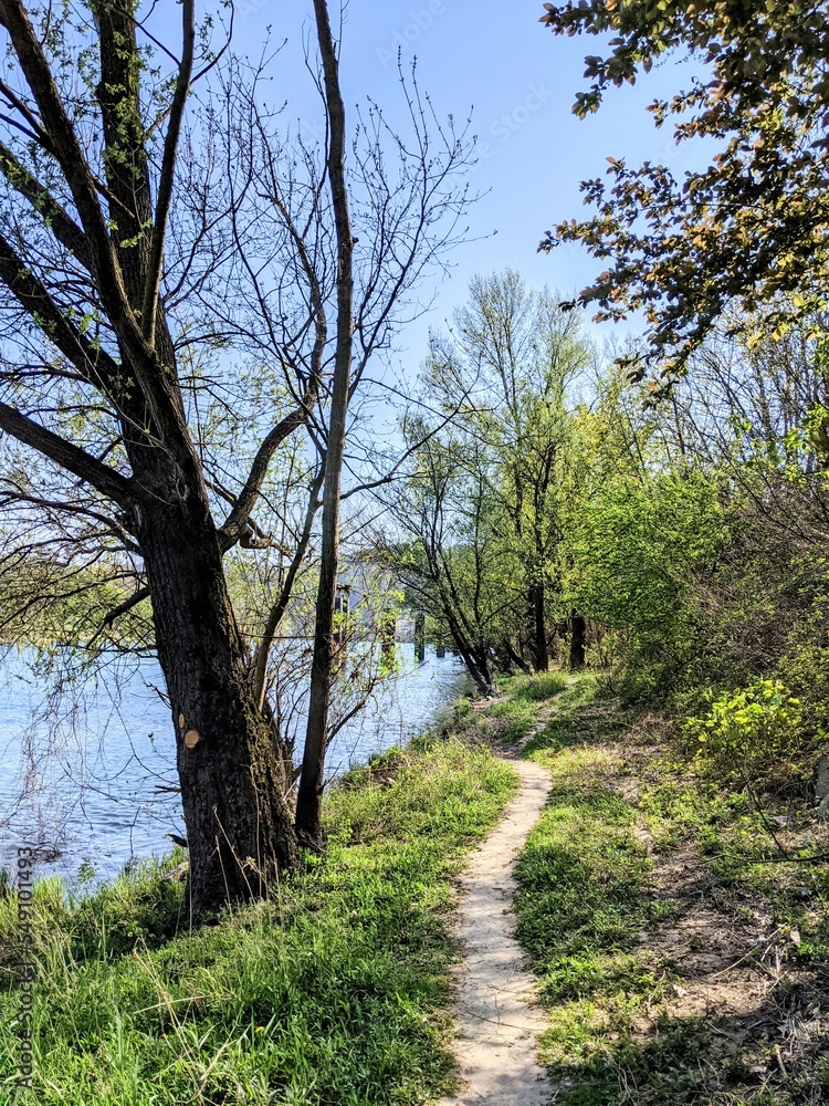 Single track near the river saone Single track near the river saone