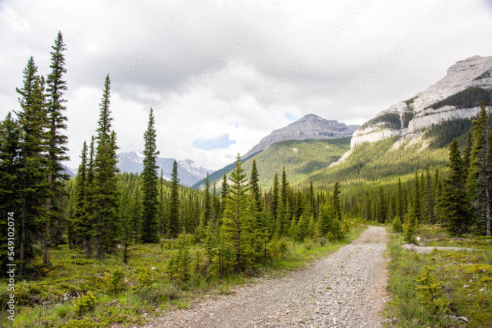 Elbow Loop Trail in mountains, Kananaskis Country, Alberta Elbow Loop Trail in mountains, Kananaskis Country, Alberta