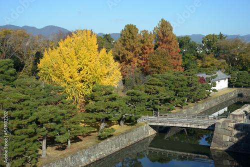 秋の二条城 西橋とイチョウの黄葉 京都市中京区