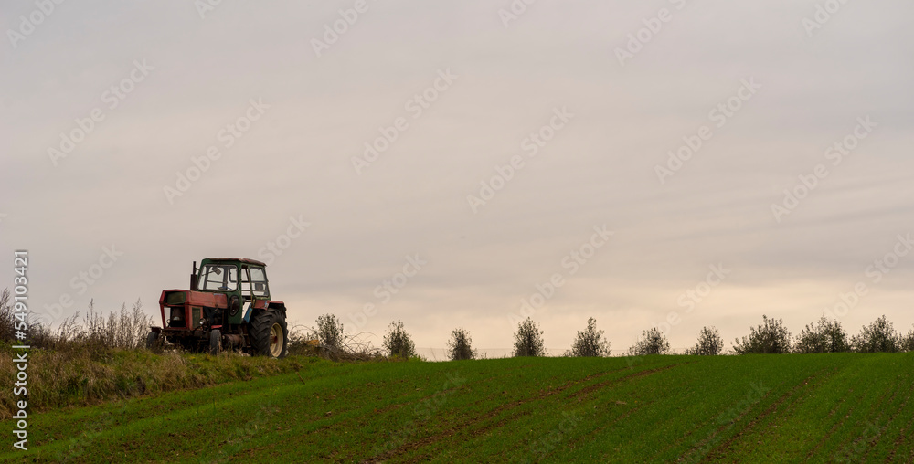 Stary traktor stojący na szczycie wzgórza . Pole z rosnącym zbożem ozimym . Polska złota jesień w rozkwicie . - obrazy, fototapety, plakaty 