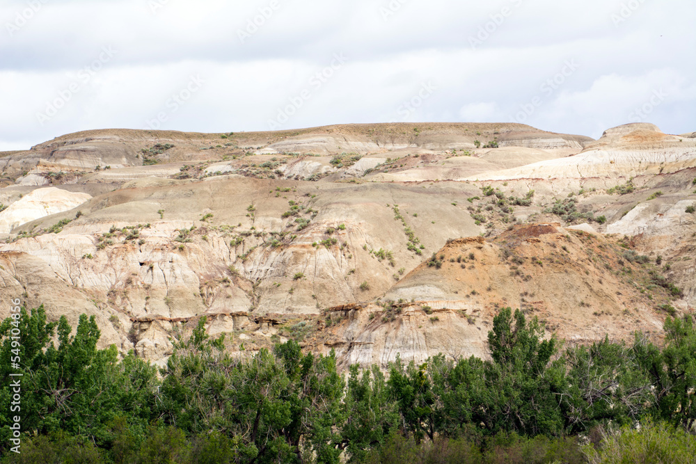 Badland hills surrounded by forest, Dinosaur Provincial Park, Alberta