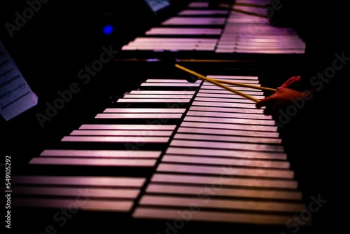 Foto Beautiful shot of hands of a musician playing the marimba