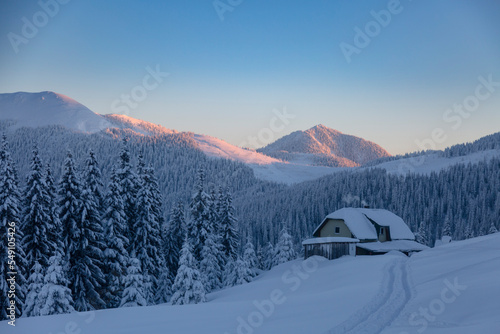 Принти на полотні Wooden alpine house among a snow covered mixed pine, fir and spruce trees with b