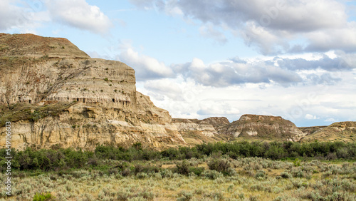 Cliff in badlands surrounded by shrubs, Shrubby Dinosaur Provincial Park, Alberta