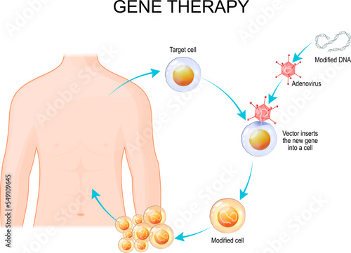 Genetic engineering. Gene therapy photo