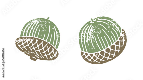 Two-color textured vector illustration of acorns