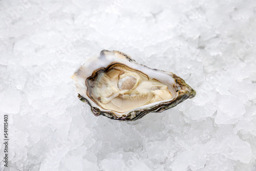 oysters on ice in a restaurant 