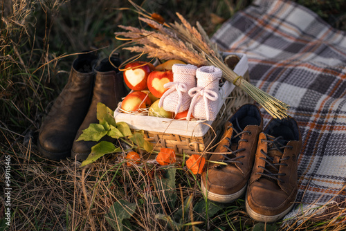 shoes of toddler and parents at picnic close-up
