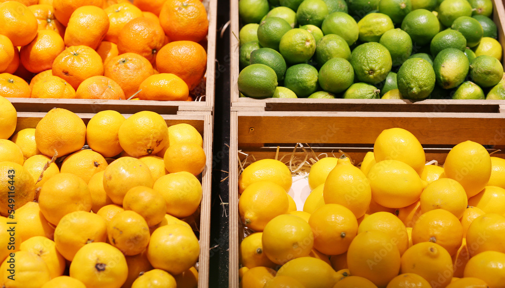 buying fruits(lemons, oranges, lime, pomelo, grapefruit) at the market buying fruits(lemons, oranges, lime, pomelo, grapefruit) at the market