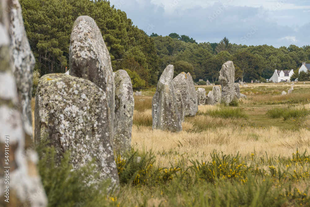 Miles long megalithic stones alignment on green meadow in Carnac, Brittany, France