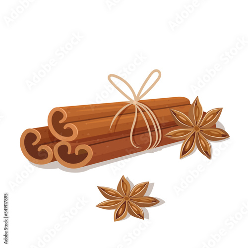 Cinnamon sticks and anise star isolated on white background 