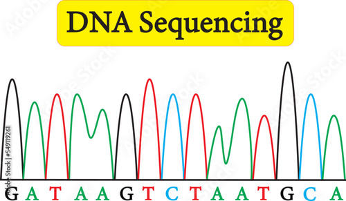 Sample Chromatogram of DNA sequencing
