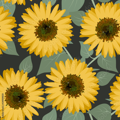 Seamless pattern with sunflowers on the dark background 