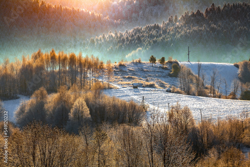 Perfect winter mountain landscape, morning forest in the fresh snow, Bieszczady, Poland © Przemysław Głowik