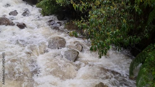 Steavenson River, is located 4 kilometres southeast of Marysville, Victoria. A spectacular sight due to recent heavy rain, and massive flooding statewide. photo