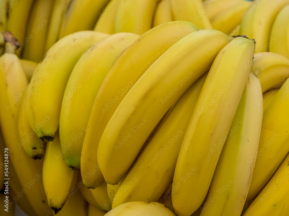 Closeup of bunch of yellow ripe bananas filling the frame