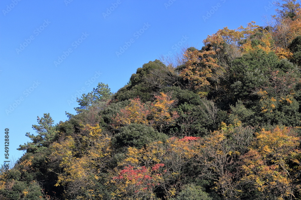 日本の秋の風景、秋の紅葉 日本の秋の風景、秋の紅葉