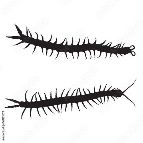 Leinwand Poster Centipede Art Silhouette