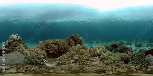 Underwater Scene Coral Reef. Underwater sea fish. Tropical reef marine. Colourful underwater seascape. Philippines. Virtual Reality 360. © Alex Traveler
