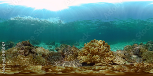 Underwater Tropical Reef View. Tropical fish reef marine. Soft-hard corals seascape. Philippines. Virtual Reality 360.