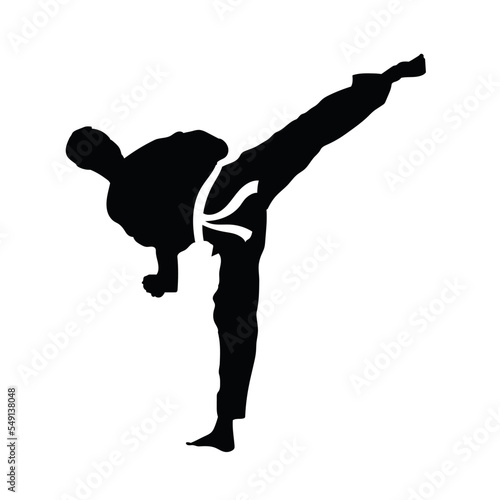 taekwondo martial arts sport silhouette vector design
