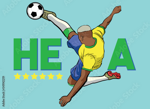 gol do pombo, gol do richarlison, brasil rumo ao hexa, pombo do brasil, gol voleio, BRASIL VETOR , gol do brasil, vai brasil, brasil hexacampeão, hexa brasil, o hexa vem 