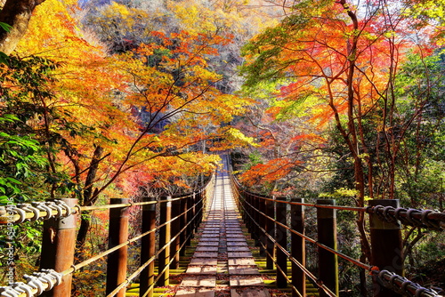 紅葉の花貫渓谷汐見滝吊橋