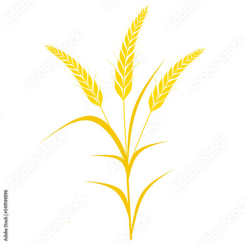 Wheat tree vector illustration isolated on white background. Cereal crops are used as a staple food.