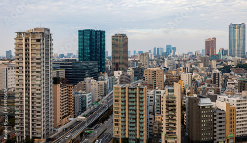 Skyscrapers and highways through Minato  Tokyo  Japan