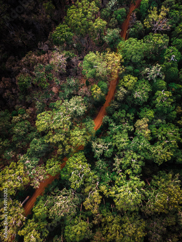 Forrest from above - Western Australia