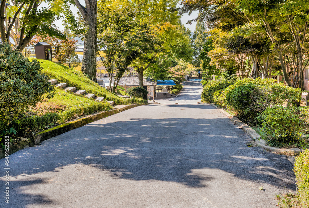 Obraz premium Paved lane in park like setting