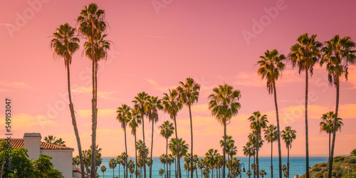 Sunset and palm trees on the beach against the soft pink tropical sky over the blue pacific ocean water photo