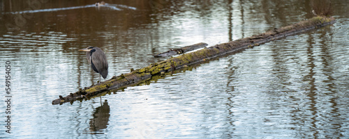 fountain in the park