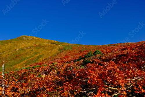 栗駒山の紅葉