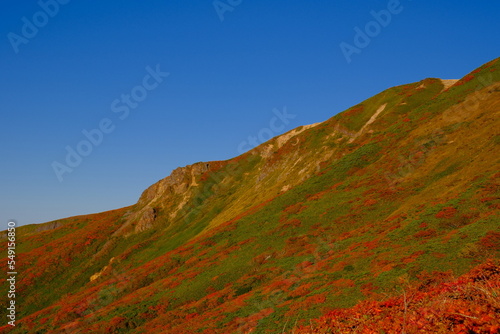 栗駒山の紅葉