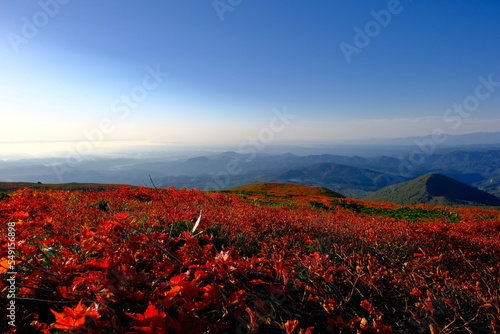 栗駒山の紅葉