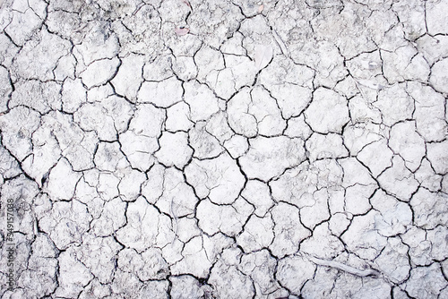 Ground cracked texture white grey background , drought season seamless patterns top view