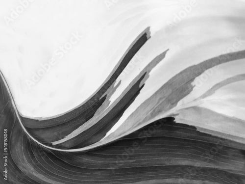 bulge retro special effect illustration, with black-white leave background abstract artwork concept.