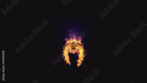 Flying burning bird eagle on a transparent background photo